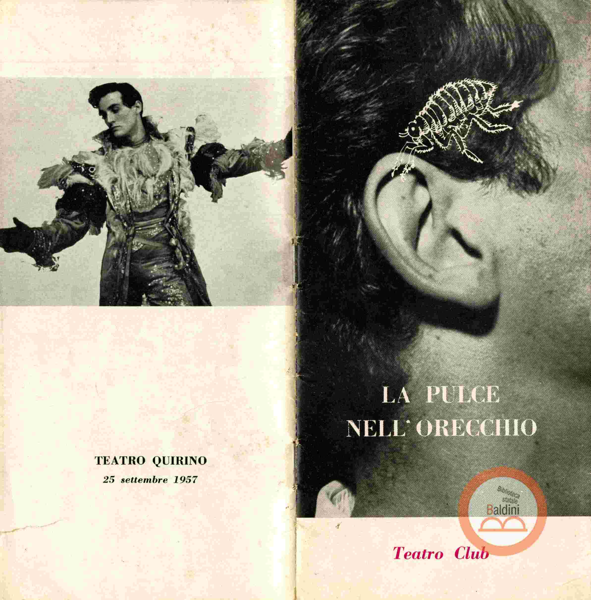 La pulce nell'orecchio