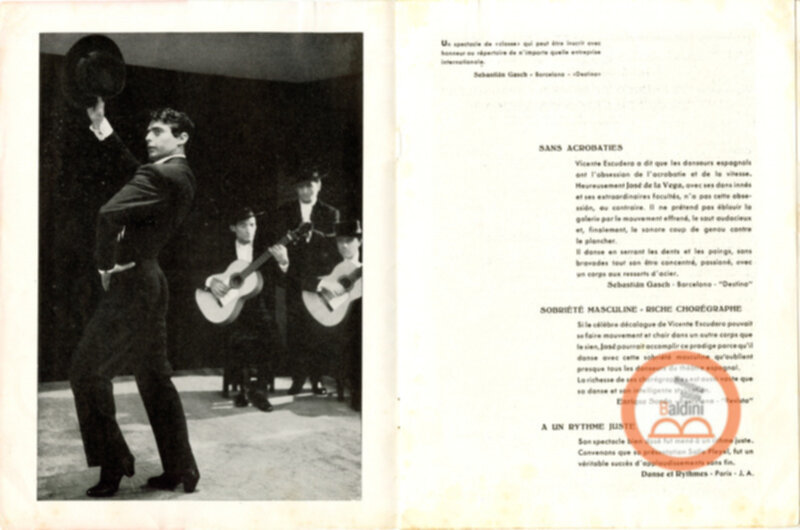 "Flamenco et danses espagnoles"