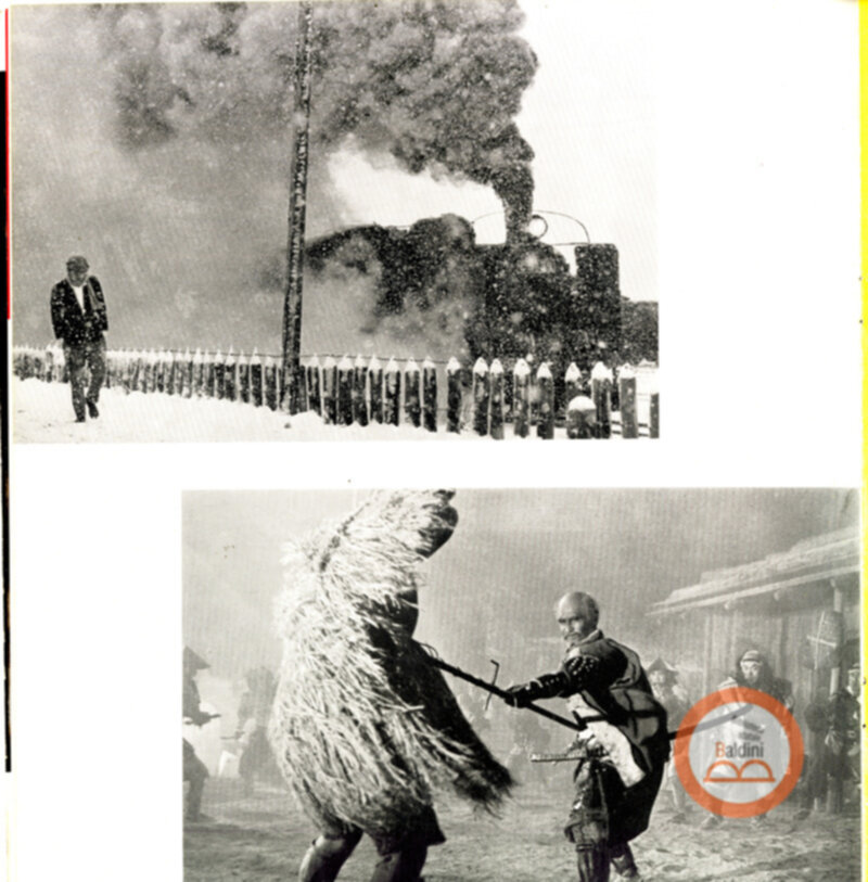 Japanese motion pictures