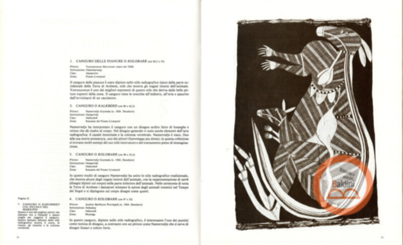 Pitture su cortreccia di oenpelli