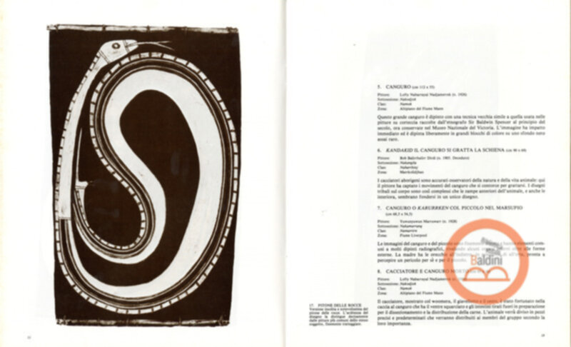 Pitture su cortreccia di oenpelli