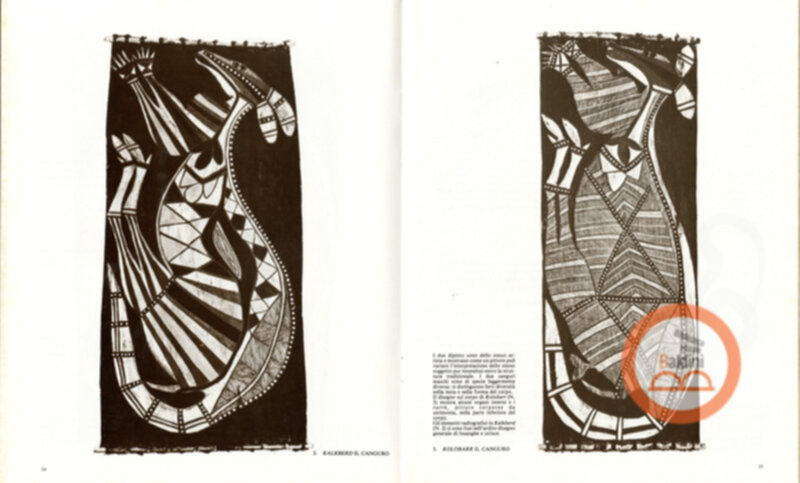 Pitture su cortreccia di oenpelli