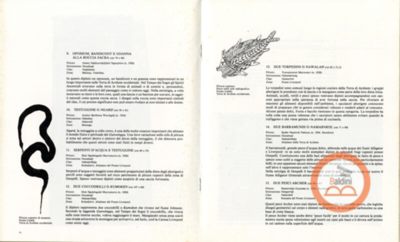 Pitture su cortreccia di oenpelli