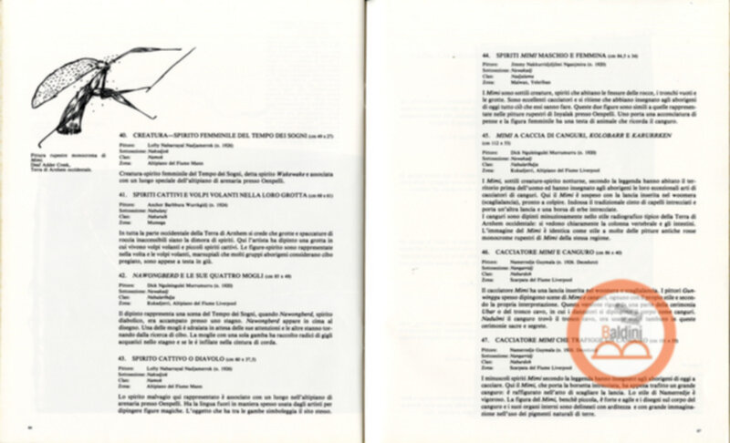 Pitture su cortreccia di oenpelli