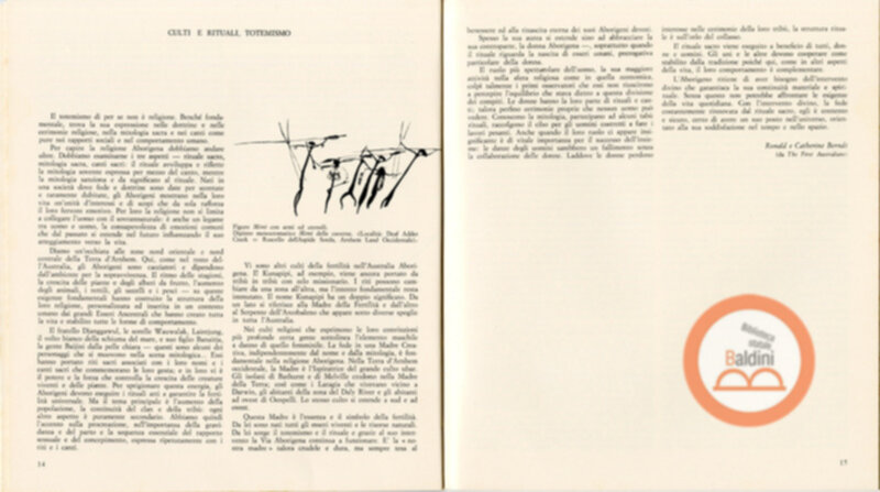 Pitture su corteccia