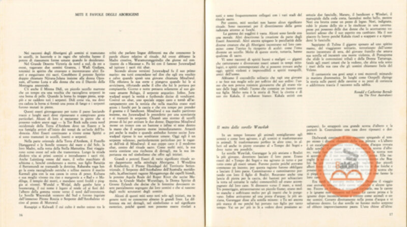 Pitture su corteccia