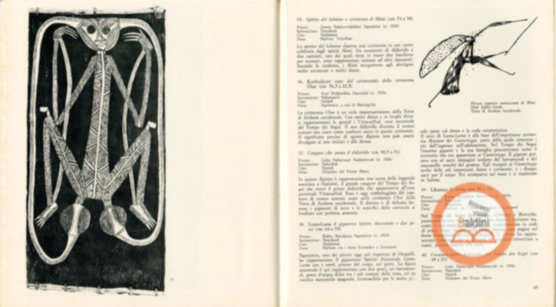 Pitture su corteccia