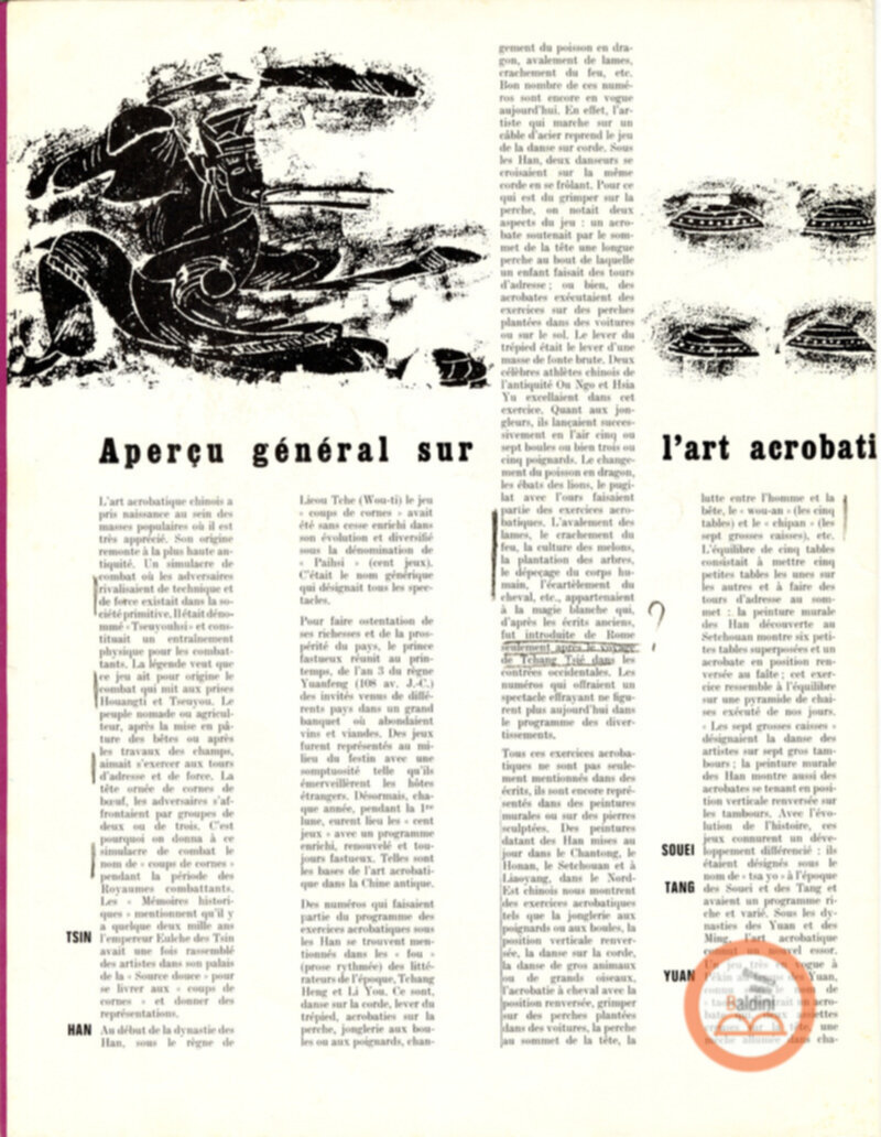 Parco artistico acrobatico cinese