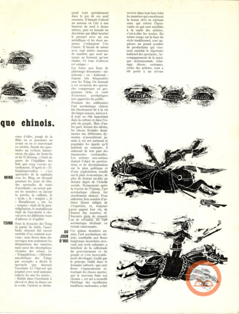 Parco artistico acrobatico cinese