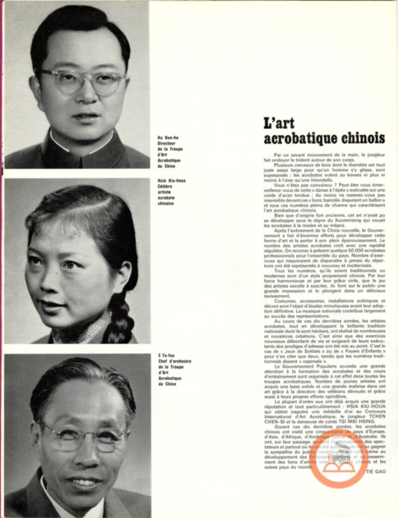 Parco artistico acrobatico cinese