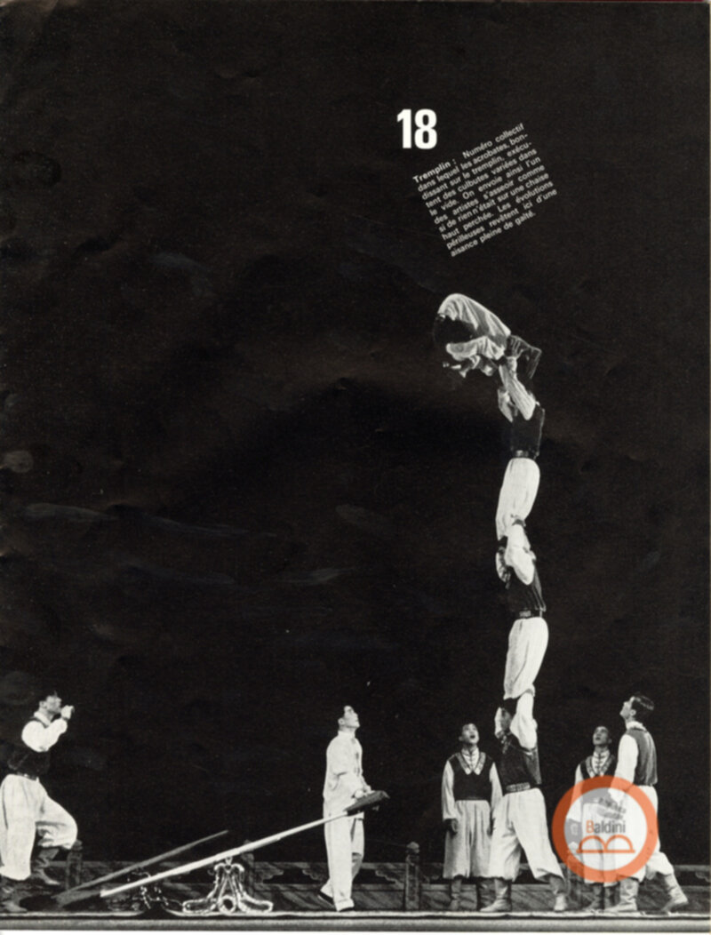 Parco artistico acrobatico cinese