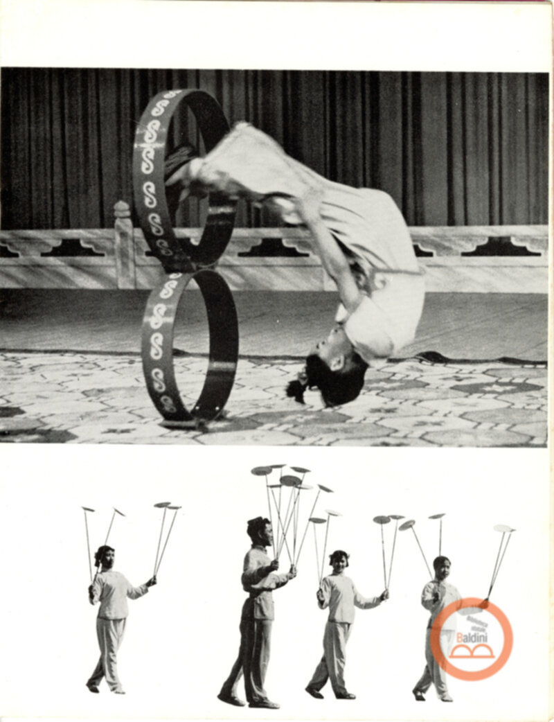 Parco artistico acrobatico cinese