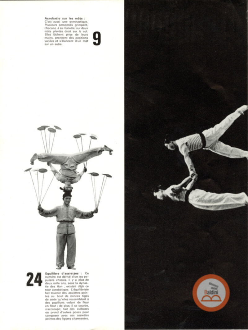 Parco artistico acrobatico cinese