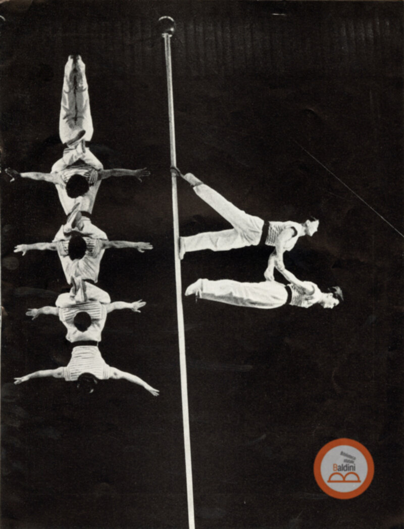 Parco artistico acrobatico cinese