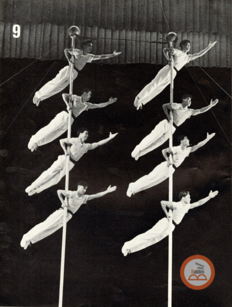 Parco artistico acrobatico cinese