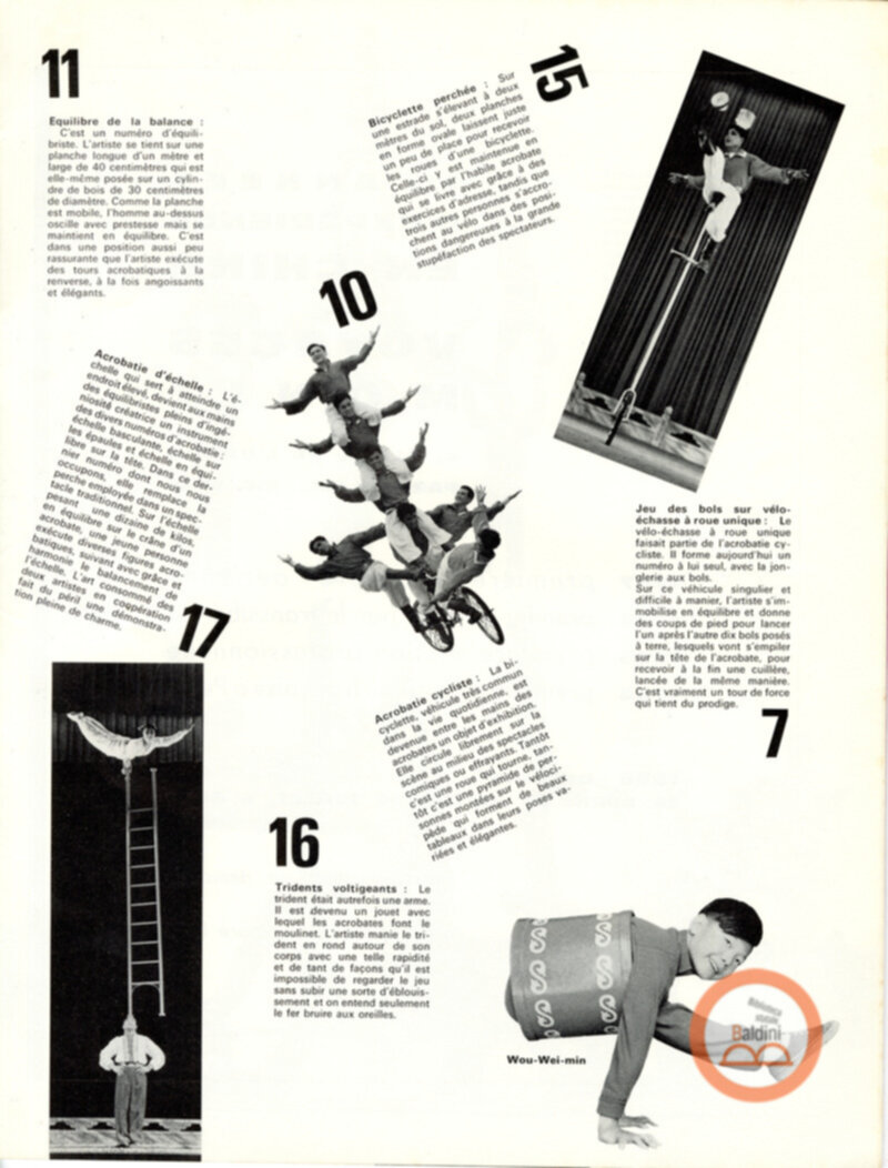 Parco artistico acrobatico cinese