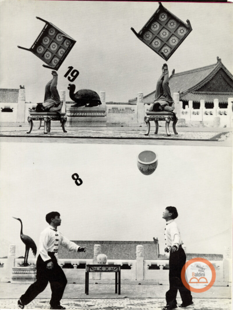 Parco artistico acrobatico cinese