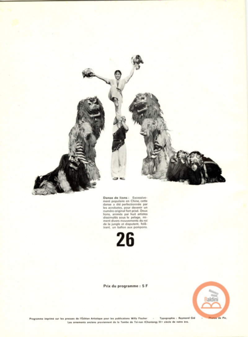 Parco artistico acrobatico cinese