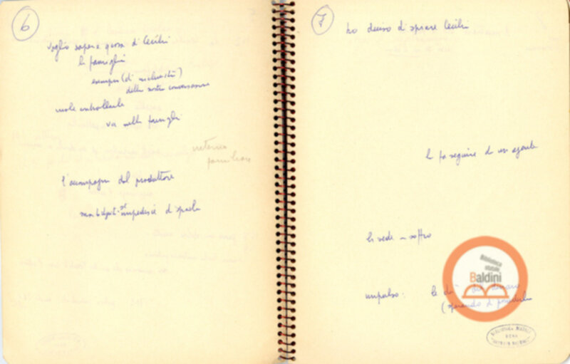 Moravia, per esempio... - quaderno di appunti