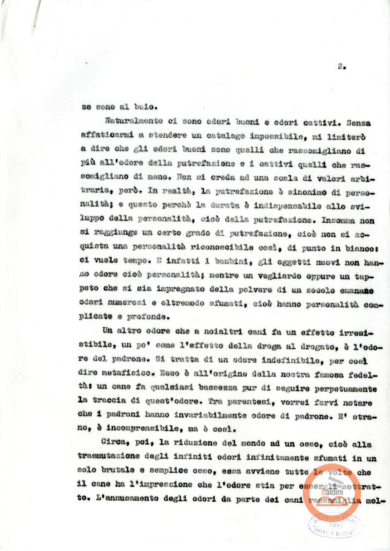 Testo Gli odori e l'osso [Giovanna Zucconi]