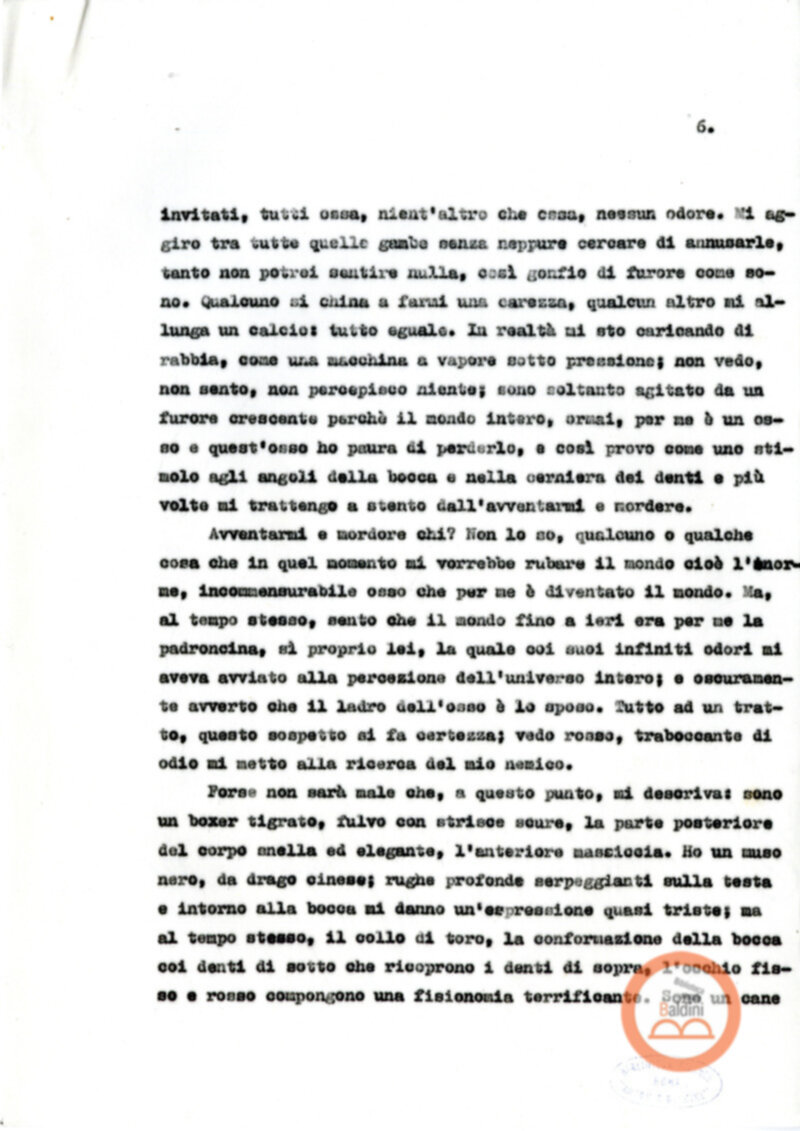 Testo Gli odori e l'osso [Giovanna Zucconi]