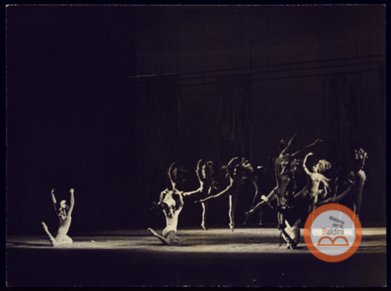 Immagine di O garatuja. O ballet do Rio De Janeiro